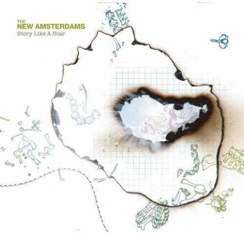 The New Amsterdams Story Like A Scar CD