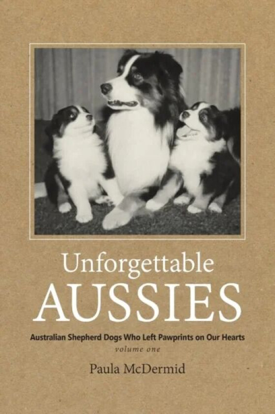 Unforgettable Aussies av Paula J McDermid