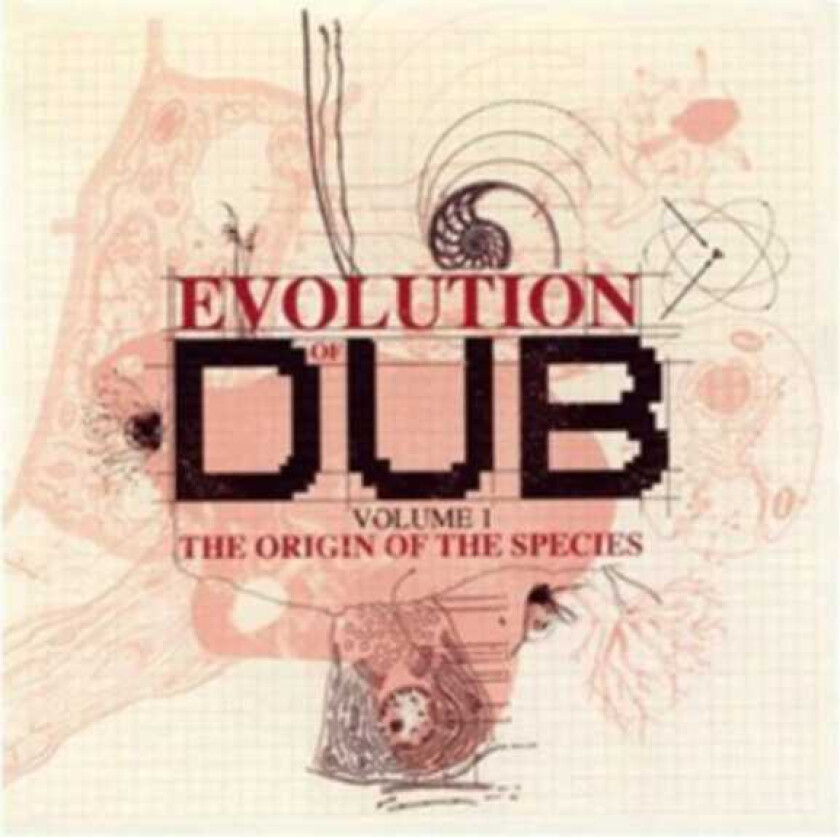 Diverse Reggae  Evolution Of Dub Vol. 1  CD