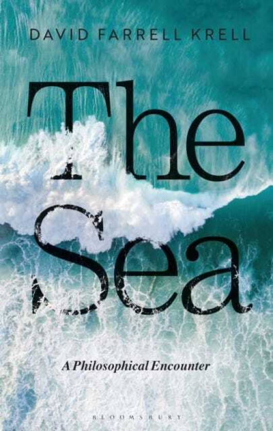 The Sea A Philosophical Encounter