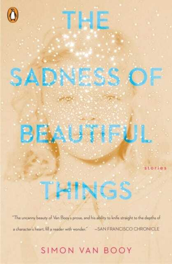 The Sadness Of Beautiful Things Stories