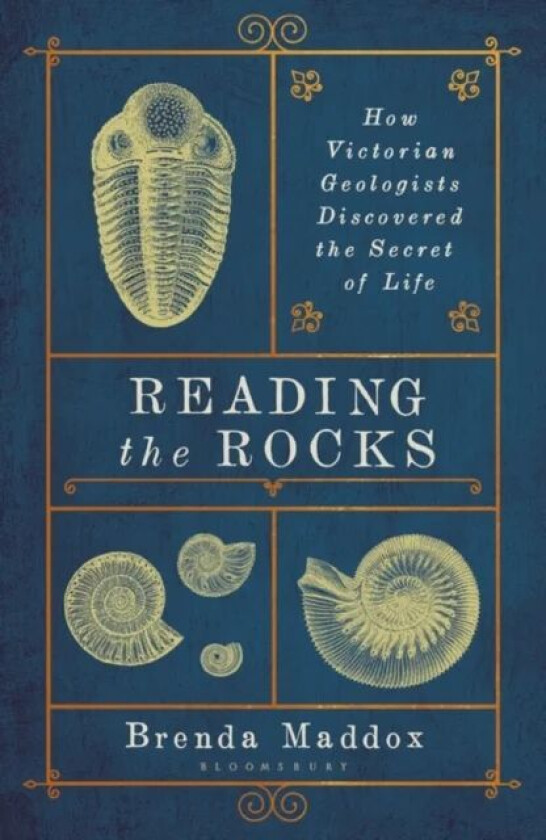 Reading the Rocks av Brenda Maddox