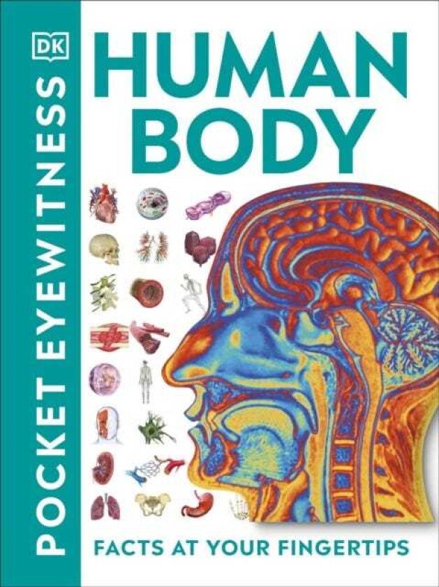 Pocket Eyewitness Human Body  Facts at Your Fingertips