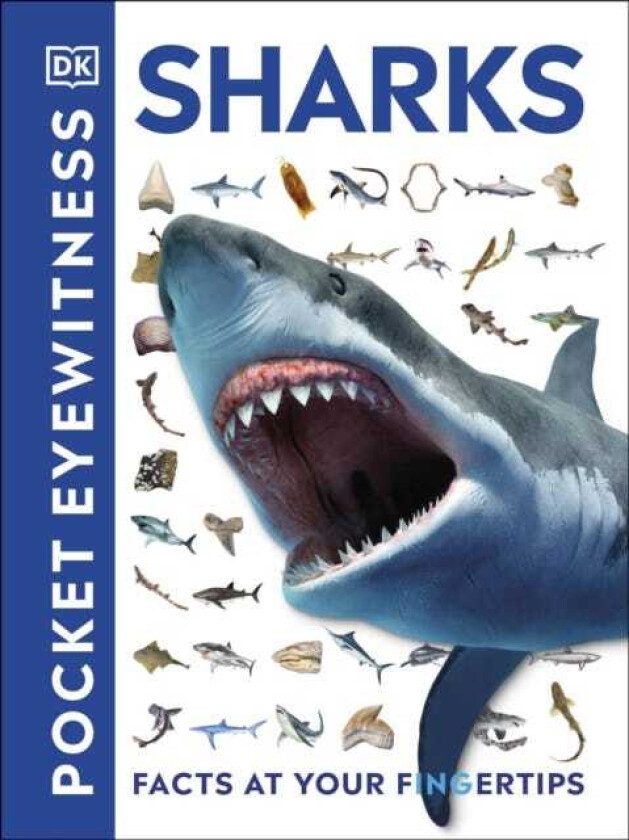 Pocket Eyewitness Sharks  Facts at Your Fingertips