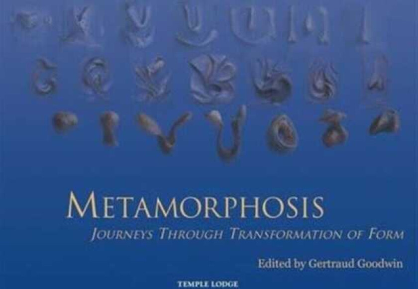 Metamorphosis Journeys Through Transformation of Form