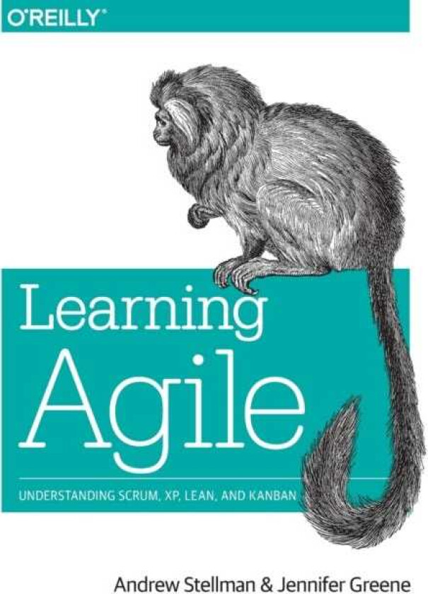 Learning Agile Understanding Scrum, Xp, Lean, and Kanban