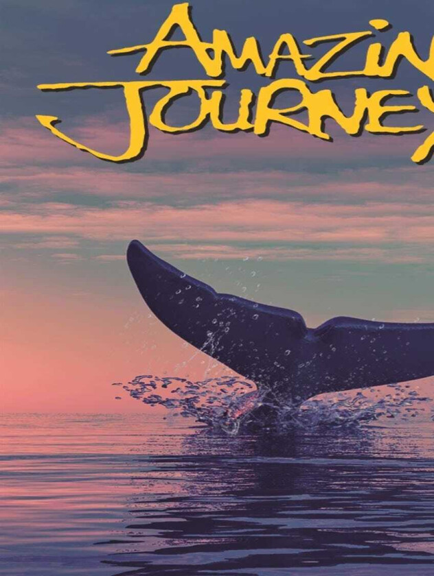 Amazing Journeys DVD