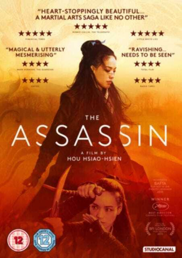 The Assassin DVD