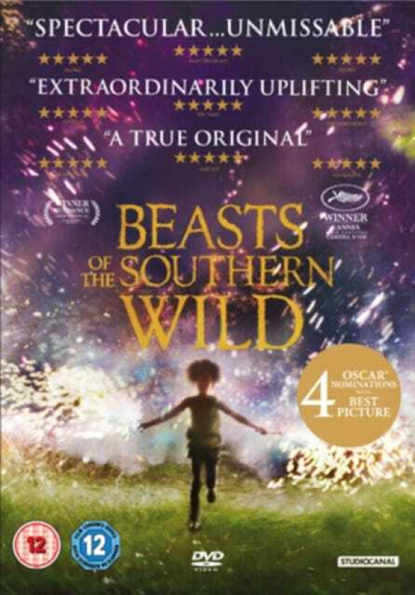 Beasts Of The Southern Wild DVD