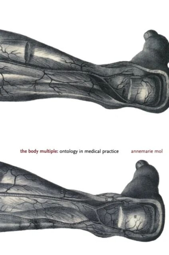The Body Multiple av Annemarie Mol