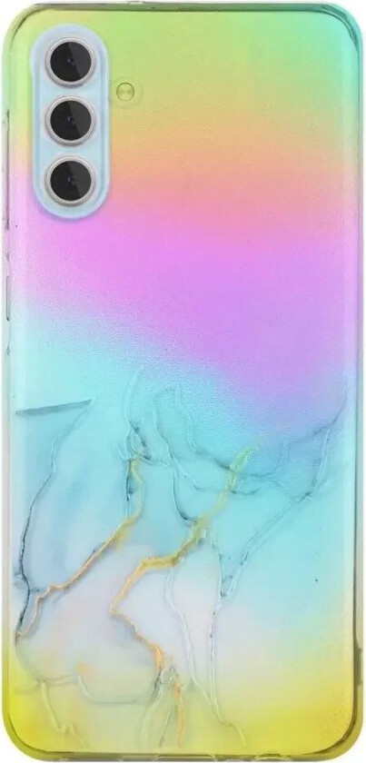 Samsung Galaxy S24 Gjennomsiktig Plastdeksel m. Fargerikt Marmormønster - Grå