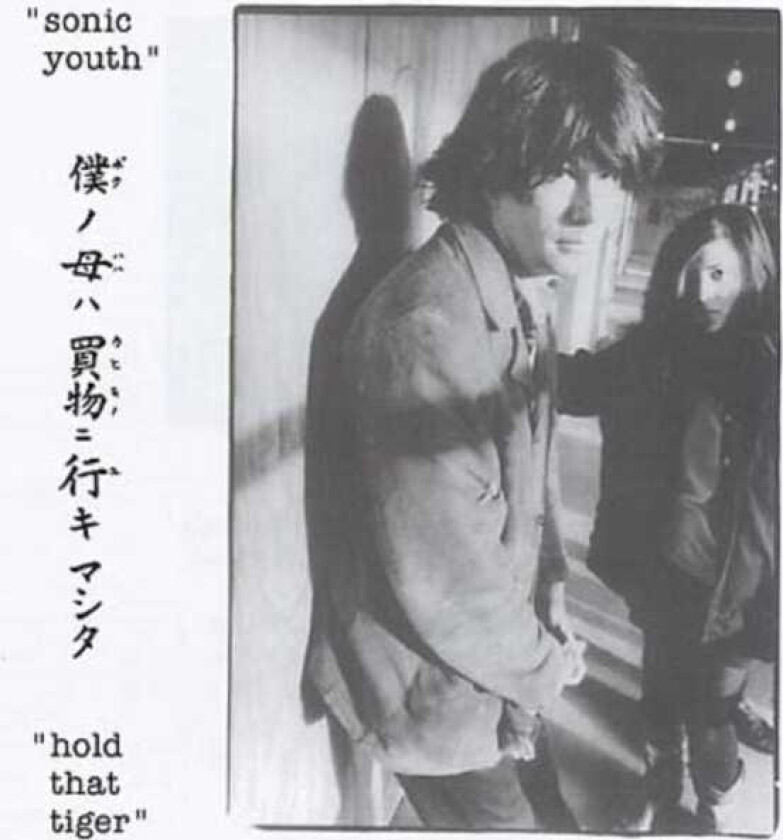 Sonic Youth Hold That Tiger Live 1987 CD