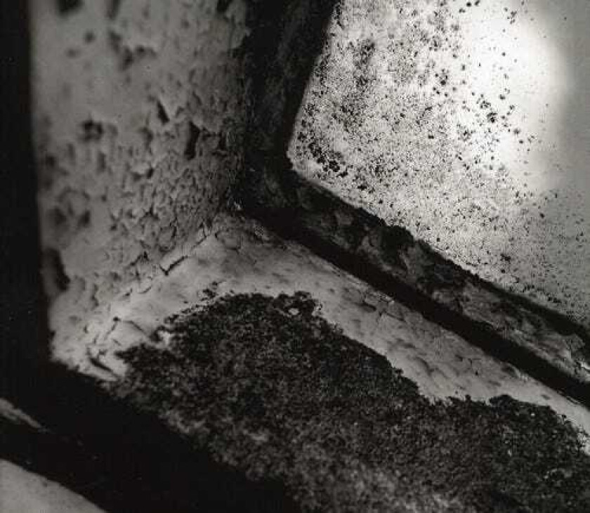 Dakota Suite Hearts Of Empty CD