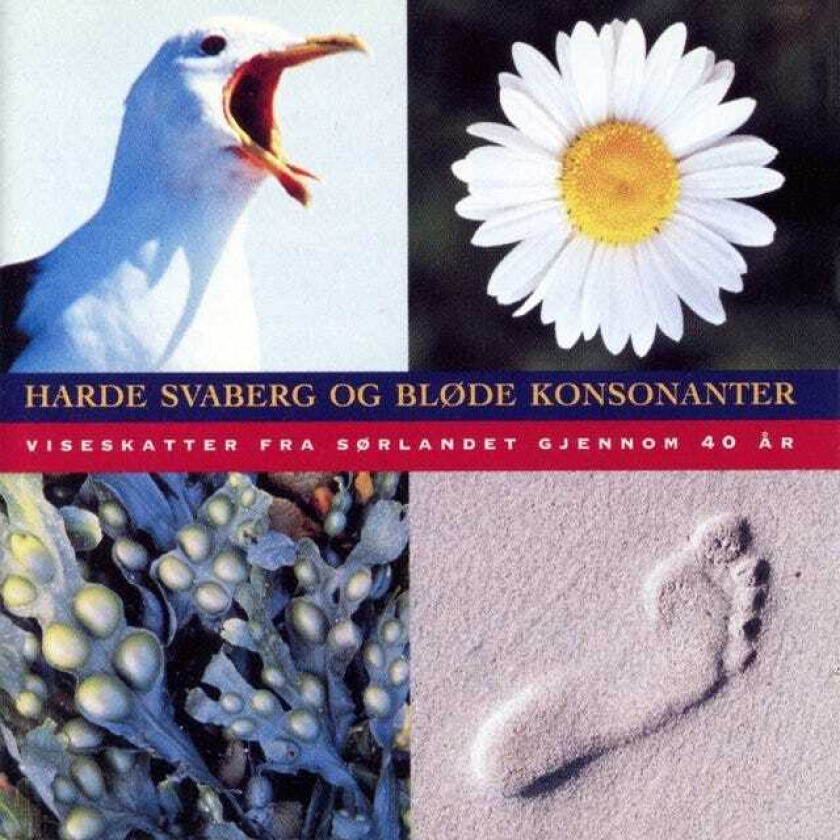 Diverse Norsk  Harde Svaberg Og Bløde Konsonanter.  CD