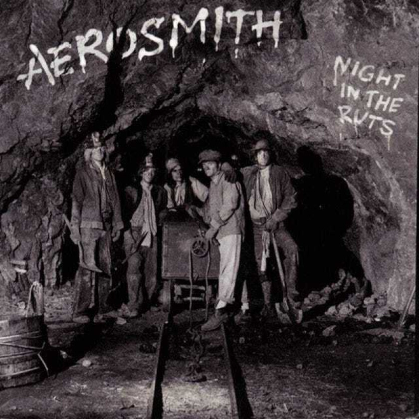 Aerosmith Night In The Ruts CD
