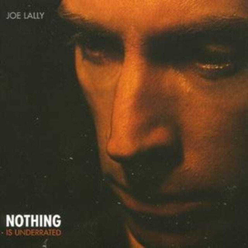 Joe Lally Nothing Is Underrated CD
