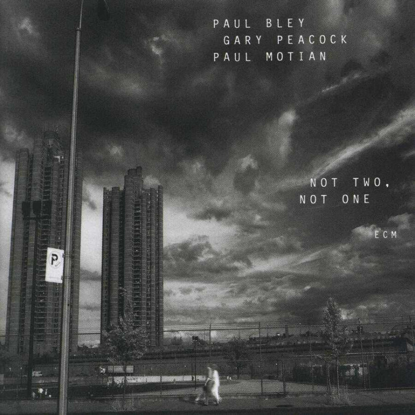 Paul Bley, Gary Peacock, Paul Moian Not Two, Not One CD