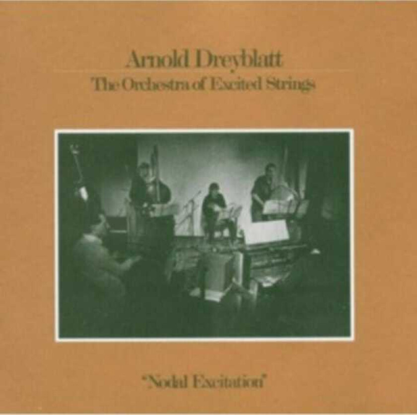 Arnold Dreyblatt  Nodal Excitation  CD