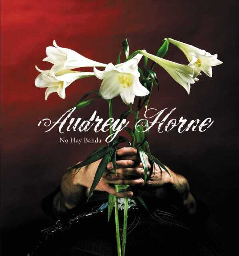 Audrey Horne No Hay Banda CD