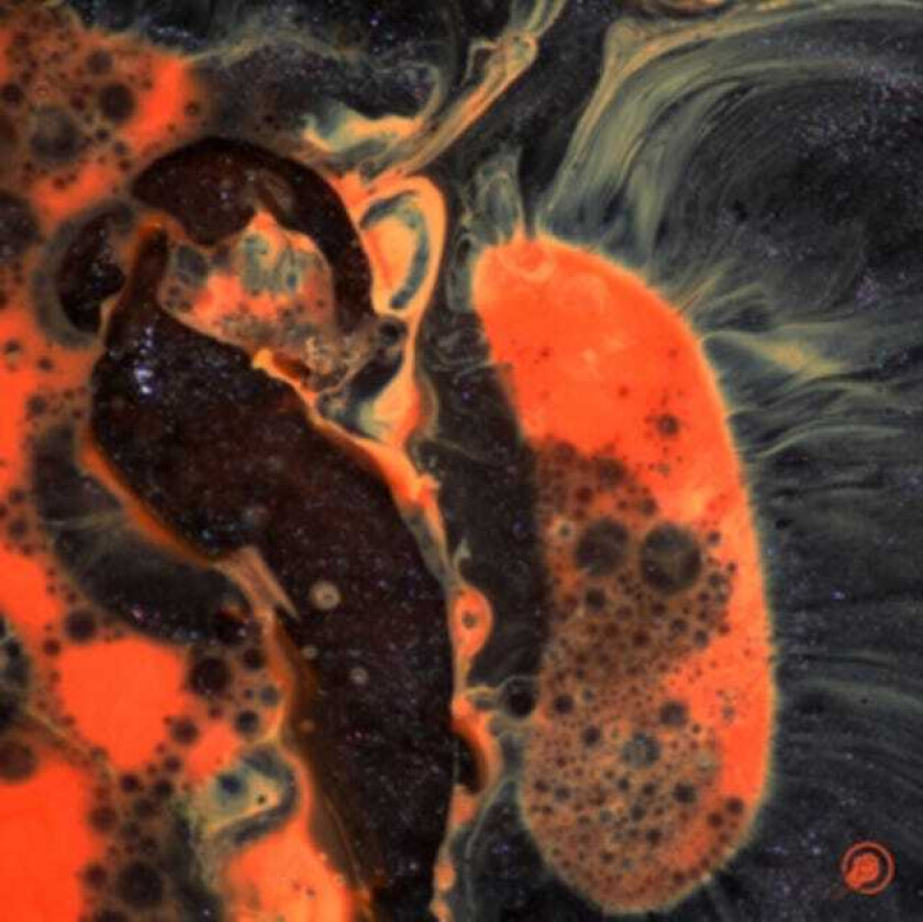 The Comet Is Coming, Shabaka Hutchings Death To The Planet LP/Vinyl