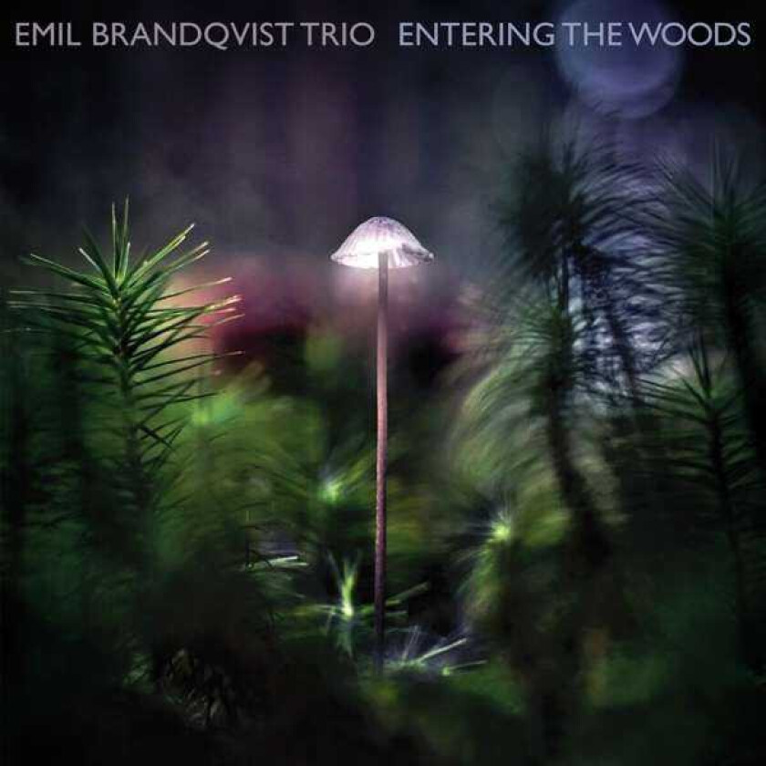 Emil Brandqvist Entering The Woods CD