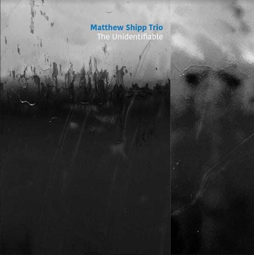 Matthew Shipp Unidentifiable CD