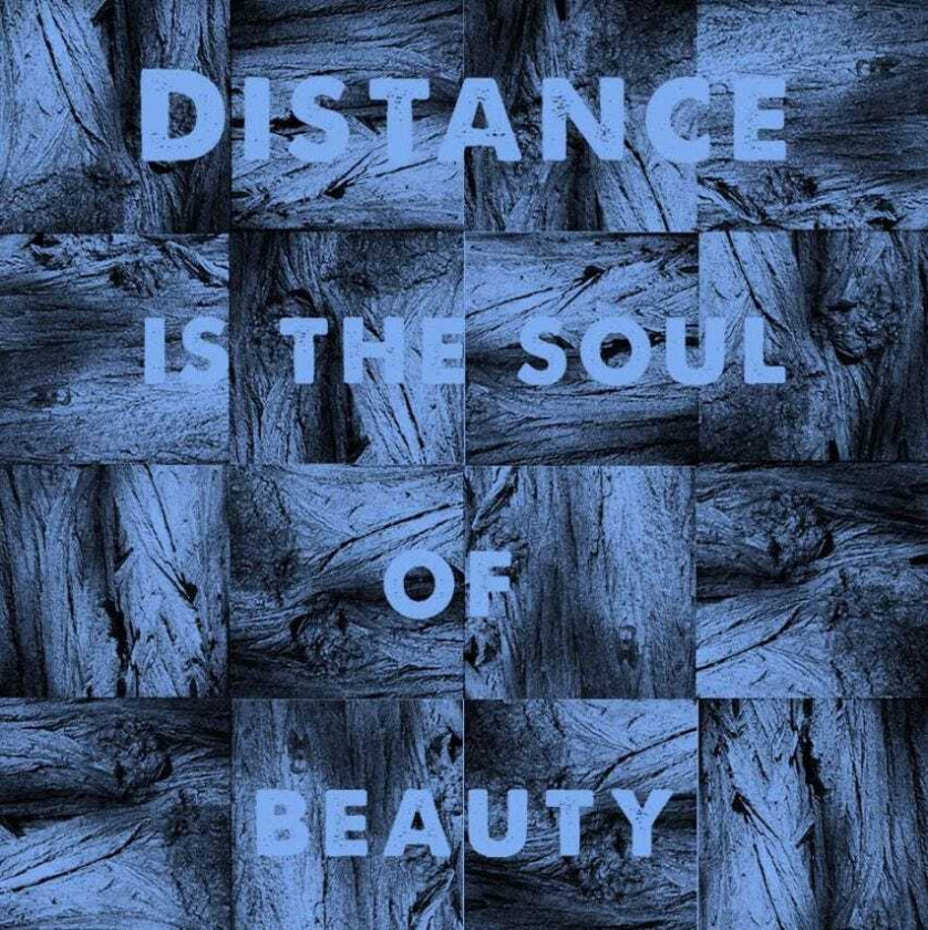 Michael J Sheehy  Distance Is The Soul Of Beauty  CD