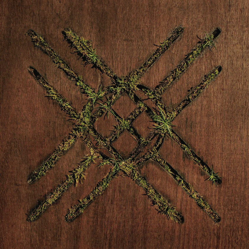 Moon Tooth Violent Grief: Acoustic Selections LP/Vinyl