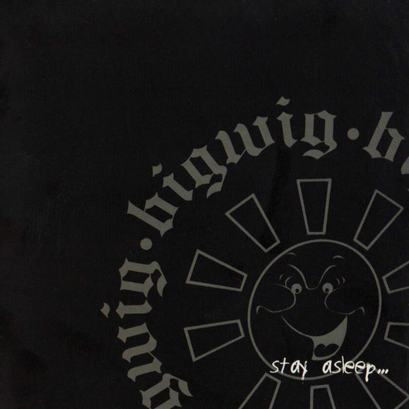 Bigwig Stay Asleep LP/Vinyl