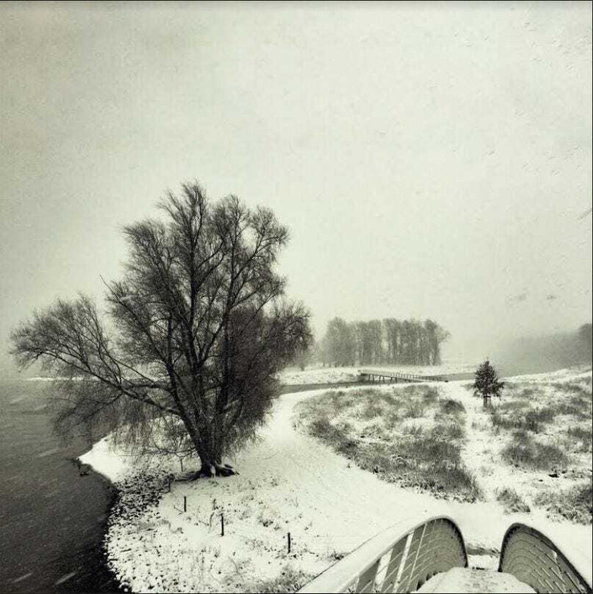 Beequeen Winter LP/Vinyl