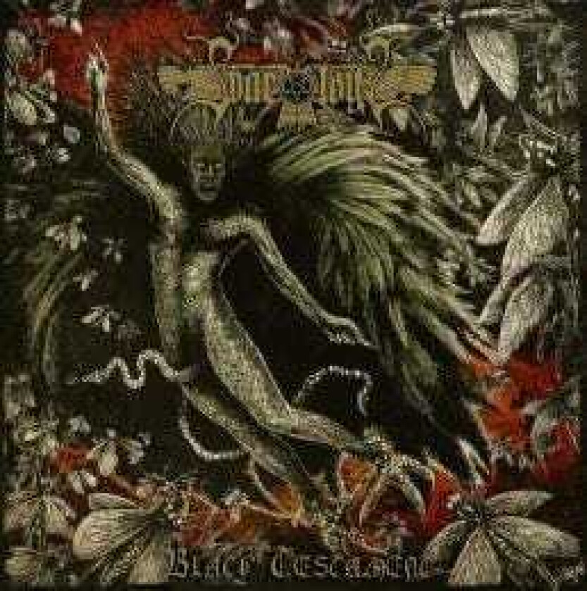 Svartsyn Black Testament LP/Vinyl