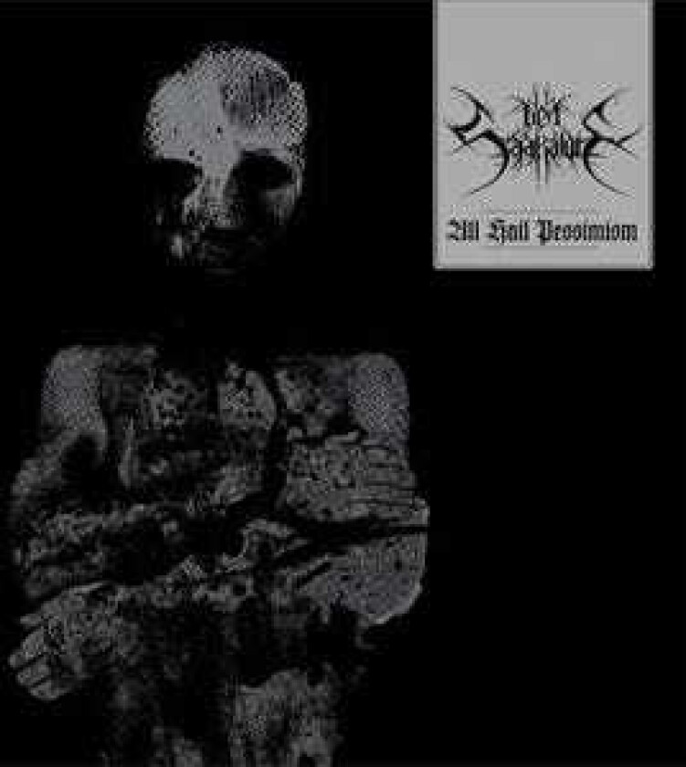 Den Saakaldte All Hail Pessimism LP/Vinyl