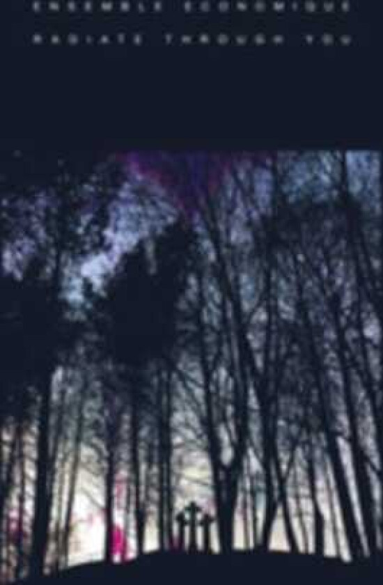 Ensemble Economique Radiate Through You CD