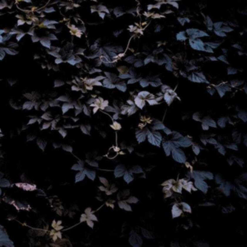 Michael Vallera Vivid Flu LP/Vinyl