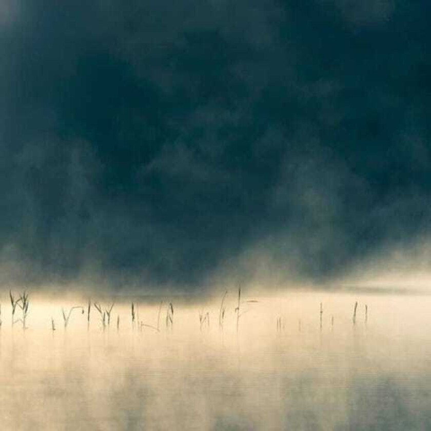 Oneirogen Convivium LP/Vinyl