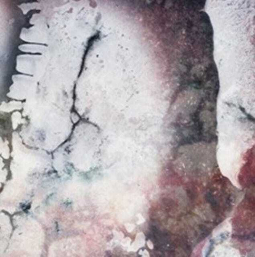 Multicast Dynamics Outer Envelopes LP/Vinyl