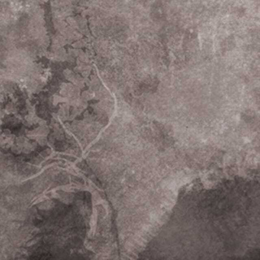 Multicast Dynamics Scandinavia LP/Vinyl