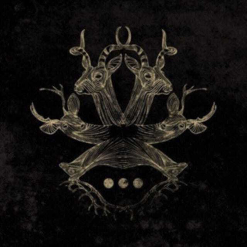 Blueneck Repetitions LP/Vinyl