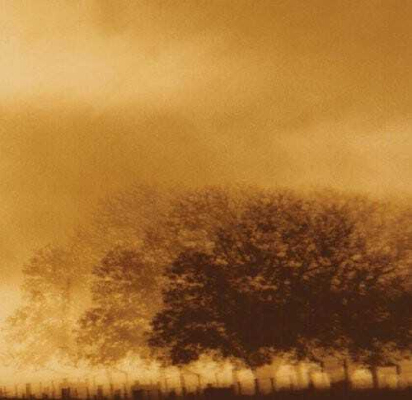 Infinite Light Ltd. Infinite Light Ltd. LP/Vinyl