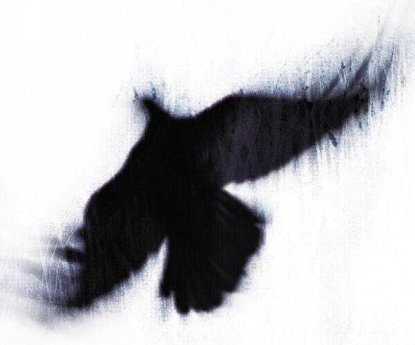 Blueneck Fallen Host CD