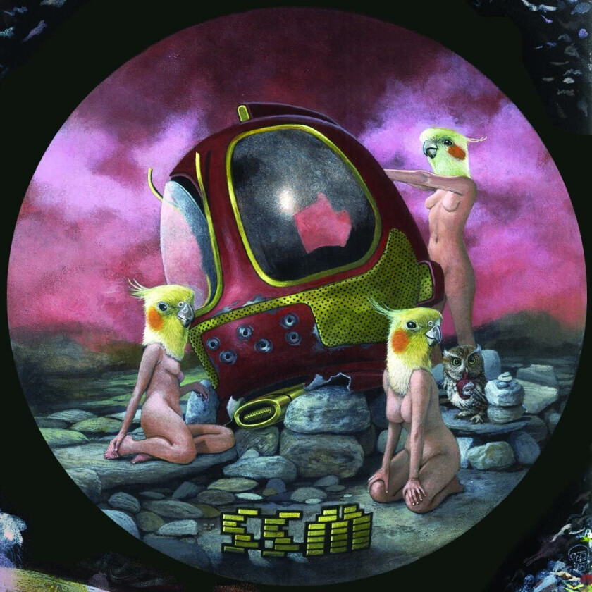 Ssm Ssm LP/Vinyl