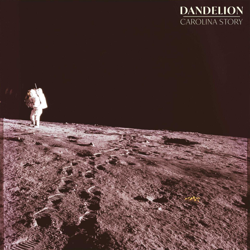 Carolina Story Dandelion LP/Vinyl