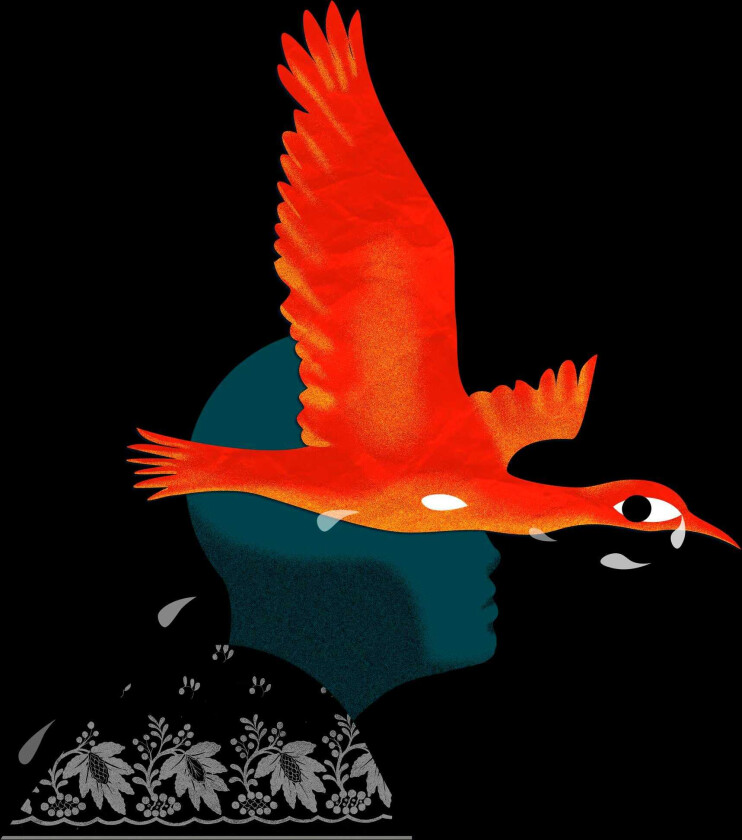 Meimuna Bestiaire II LP/Vinyl