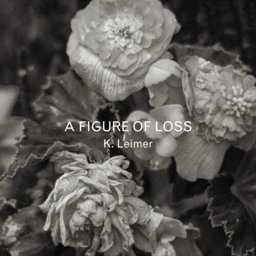 K. Leimer A Figure Of Loss CD