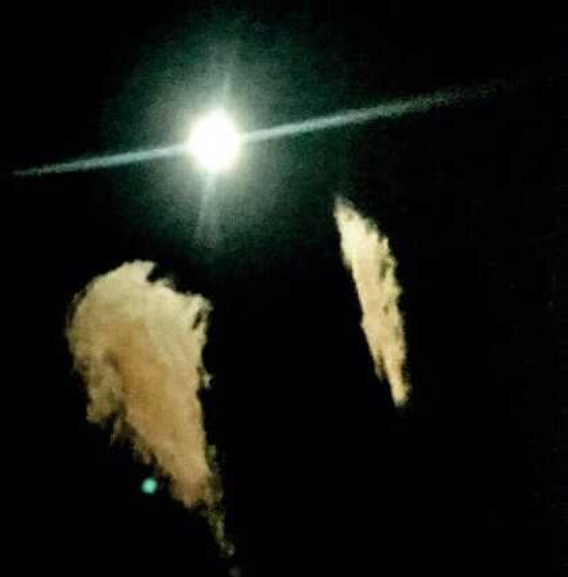 Midwife Forever LP/Vinyl