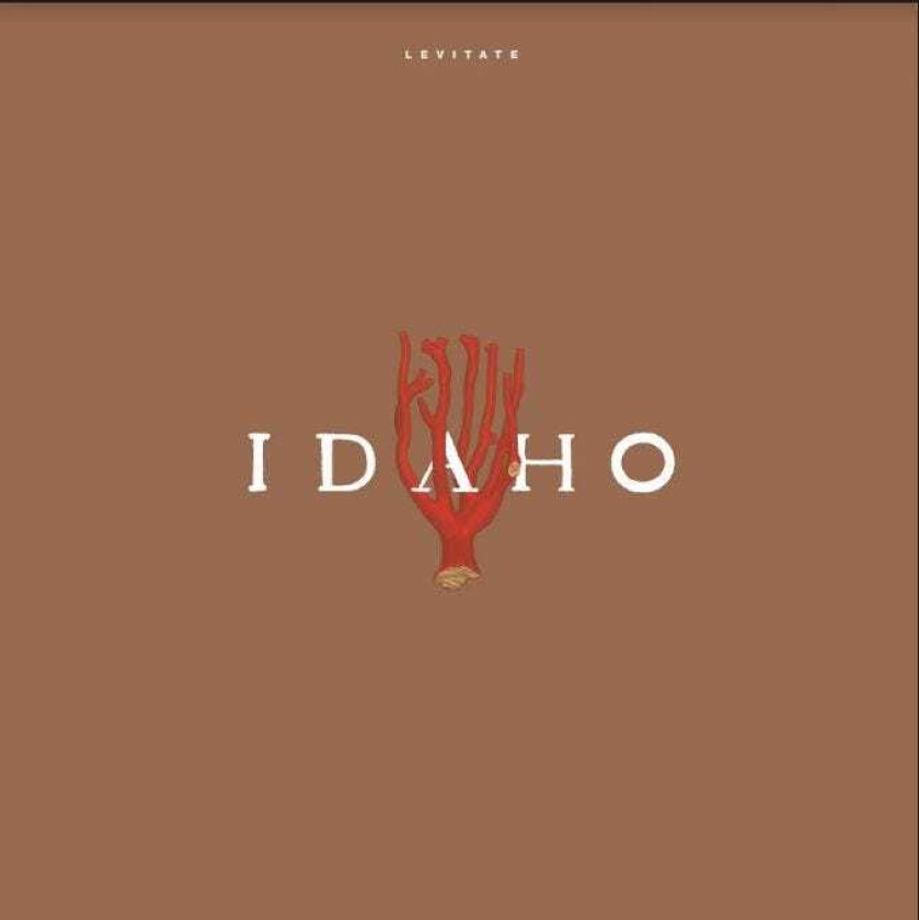 Idaho Levitate LP/Vinyl