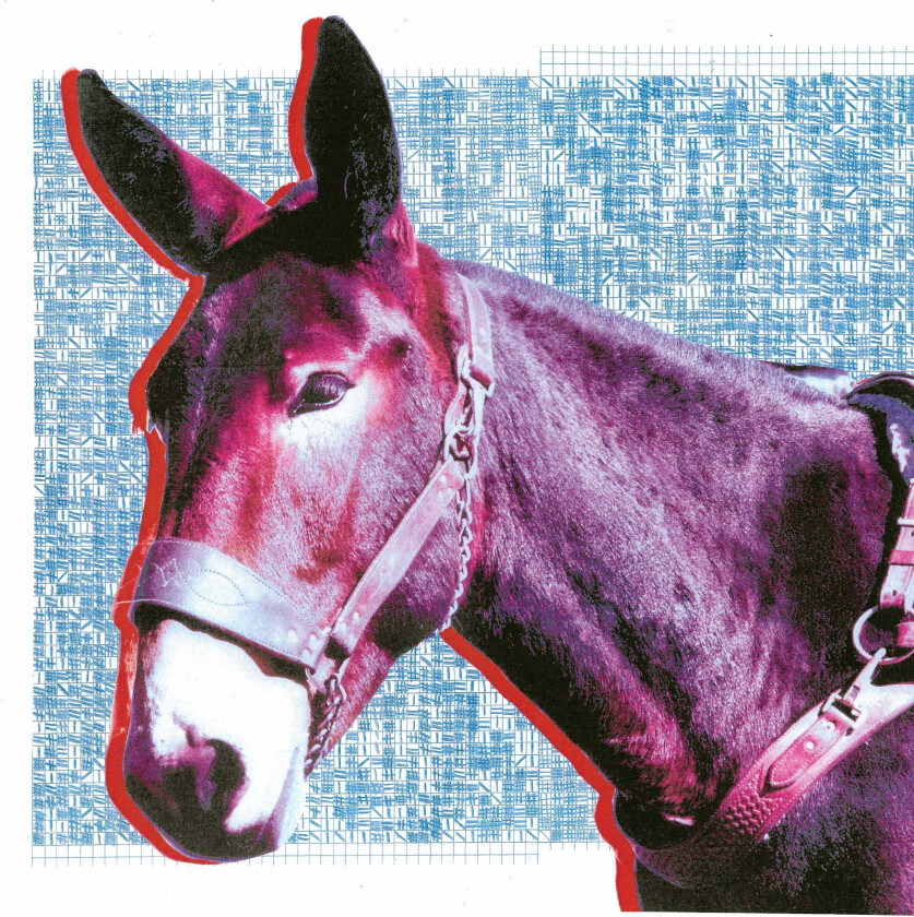 Protomartyr Ultimate Success Today LP/Vinyl