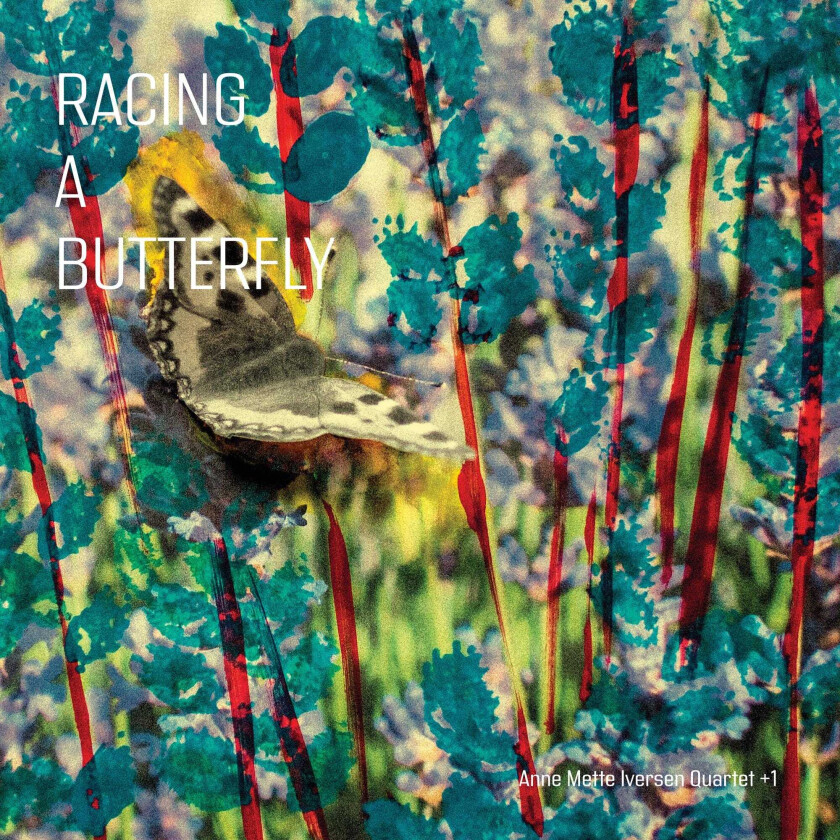 Anne Mette Iversen Racing A Butterfly LP/Vinyl