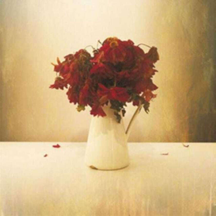 The Lion & The Wolf The Cardiac Hotel CD