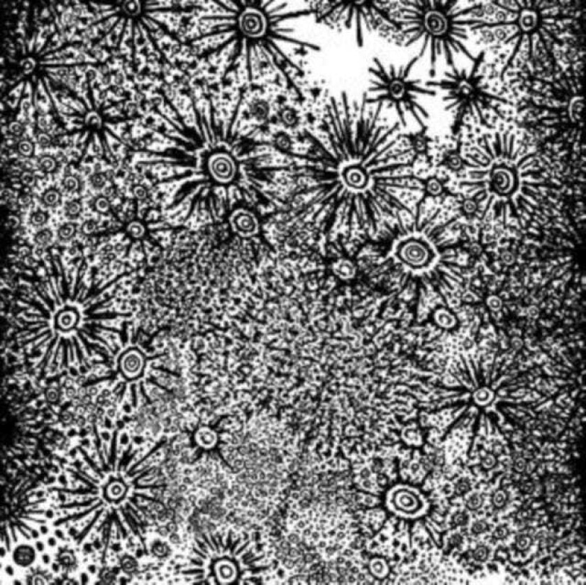 Spirit Fest Anohito CD